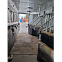 CABALLERIZA KIEFER TRAILERS GENESIS 6H 2022