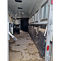 CABALLERIZA KIEFER TRAILERS GENESIS 6H 2022